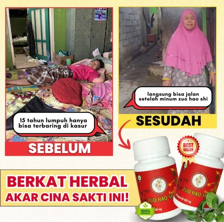 Paket 1 botol jamu Zuo Hao Shi untuk pegal linu dan nyeri sendi